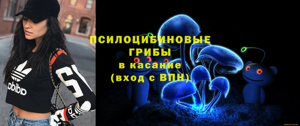 стафф Дмитриев