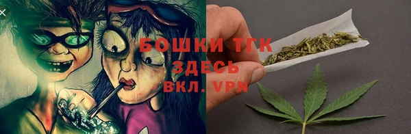 сатива Дмитров