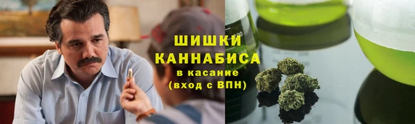 сатива Дмитров