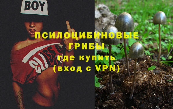 сатива Дмитров