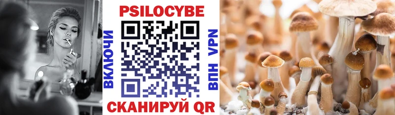купить наркотик  Прокопьевск  Псилоцибиновые грибы Cubensis 