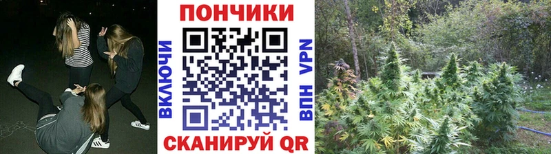 МАРИХУАНА план  где найти   Прокопьевск 
